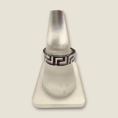 BEAUTIFUL 925 STERLING SILVER MEN'S RING | SGR330