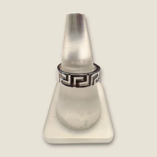 BEAUTIFUL 925 STERLING SILVER MEN'S RING | SGR330