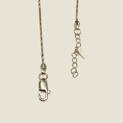 CELEBRATING A BOND AS PURE AND TIMELESS WITH SILVER RAKHI | SB299 CELEBRATING A BOND AS PURE AND TIMELESS WITH SILVER RAKHI | SB299